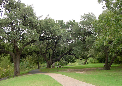 Seiders Oaks-recent